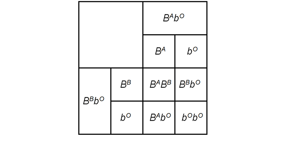 Diagram of a punnet square showing a cross between heterozygous parents with A and B blood groups