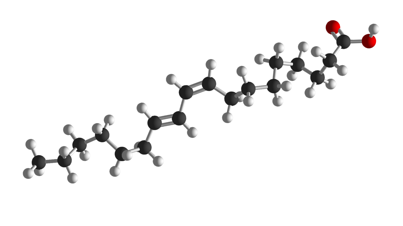 Picture of a molecular model of rumenic acid.