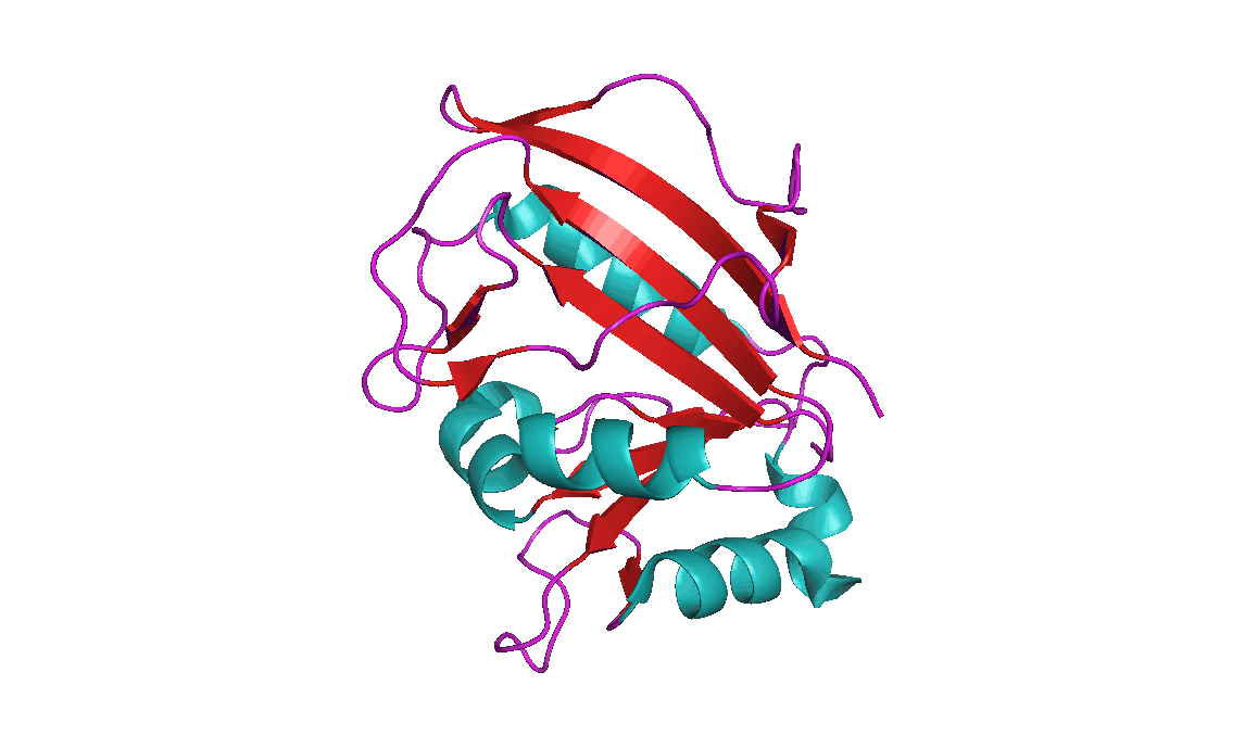 A rotating model of the structure of mouse dihydrofolate reductase
