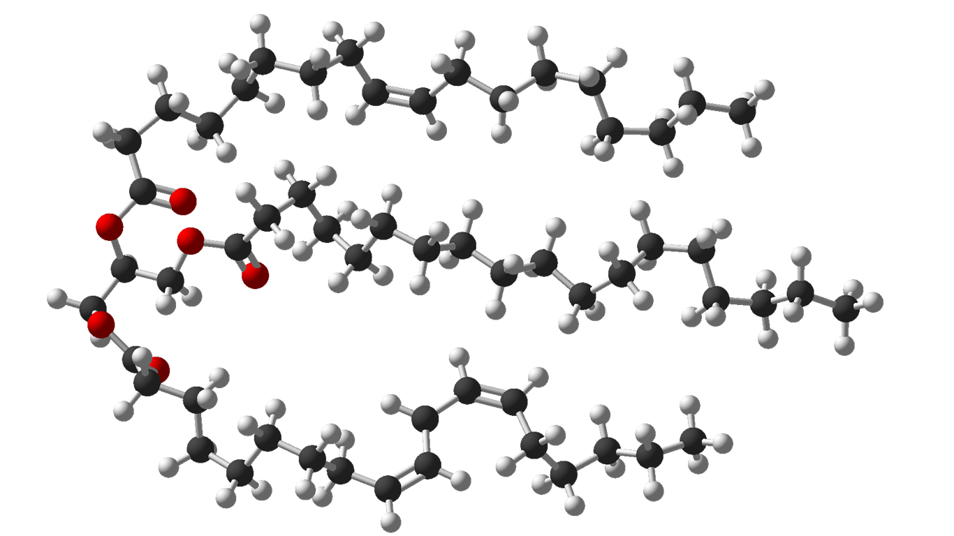 Picture of a molecular model of a triglyceride.